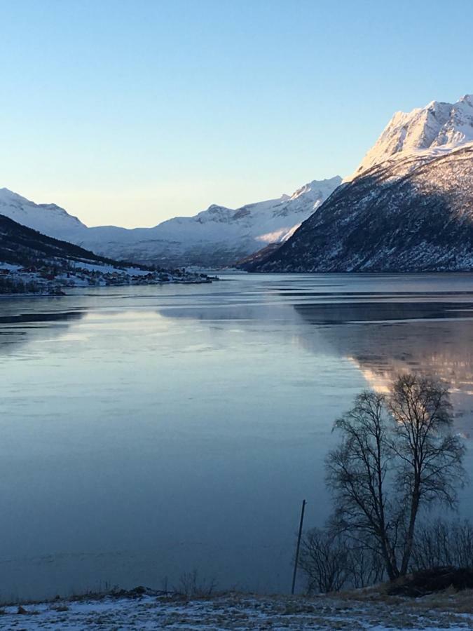 Apartment With Fjord View Tennevoll Exterior foto