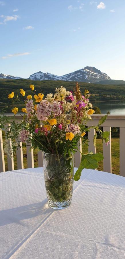 Apartment With Fjord View Tennevoll Exterior foto